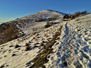 46 A dicembre vedo il Linzone bianco di neve, a maggio sara bianco di narcisi